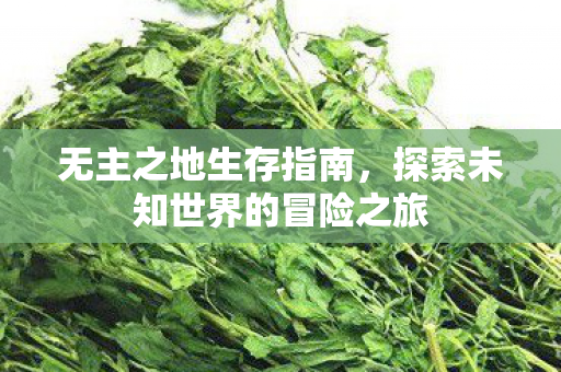 无主之地生存指南,探索未知世界的冒险之旅 无主之地生存指南,探索未知世界的冒险之旅