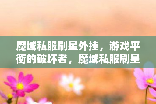 魔域私服刷星外挂图片