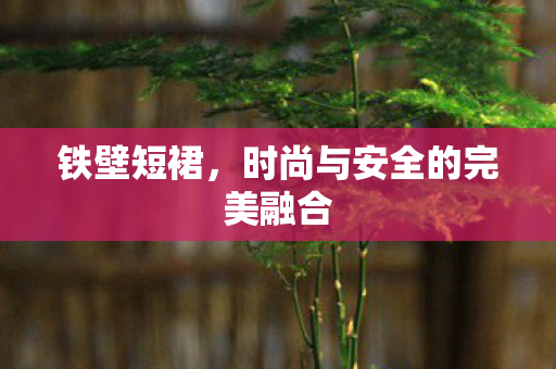 铁壁短裙,时尚与安全的完美融合 铁壁短裙,时尚与安全的完美融合