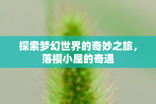 探索梦幻世界的奇妙之旅，落樱小屋的奇遇