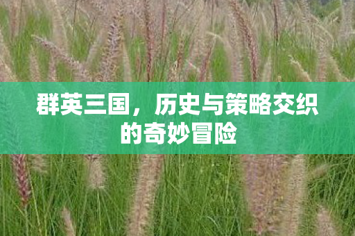 群英三国,历史与策略交织的奇妙冒险 群英三国,历史与策略交织的奇妙冒险