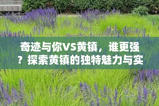 探索黄镇的独特魅力与实力对比图片