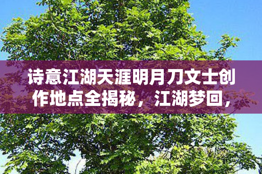 诗意江湖天涯明月刀文士创作地点全揭秘图片