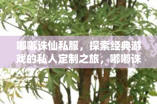 探索经典游戏的私人定制之旅图片