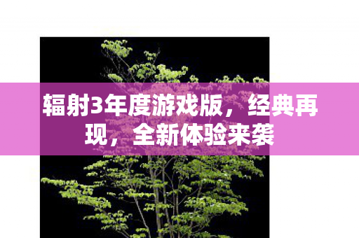 辐射3年度游戏版,经典再现,全新体验来袭 辐射3年度游戏版,经典再现,全新体验来袭