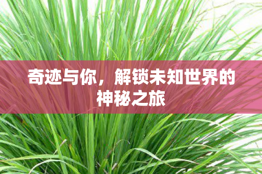 解锁未知世界的神秘之旅图片