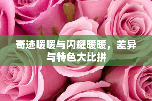奇迹暖暖与闪耀暖暖图片