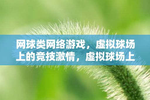网球类网络游戏,虚拟球场上的竞技激情,虚拟球场上的网球竞技激情 网球类网络游戏,虚拟球场上的竞技激情,虚拟球场上的网球竞技激情
