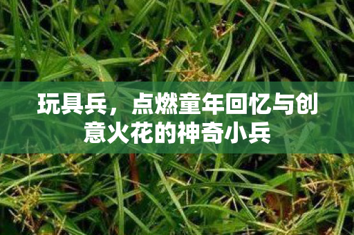 点燃童年回忆与创意火花的神奇小兵图片