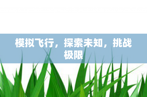 模拟飞行,探索未知,挑战极限 模拟飞行,探索未知,挑战极限