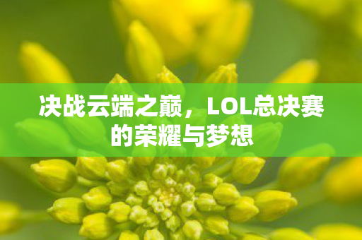决战云端之巅,LOL总决赛的荣耀与梦想 决战云端之巅,LOL总决赛的荣耀与梦想