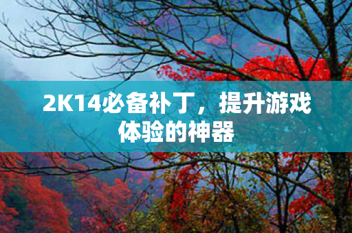 2K14必备补丁,提升游戏体验的神器 2K14必备补丁,提升游戏体验的神器