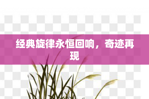 经典旋律永恒回响图片