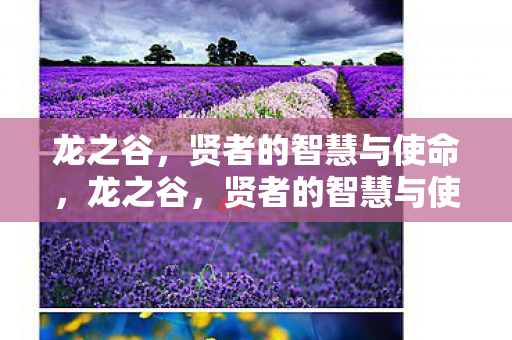 龙之谷，贤者的智慧与使命，龙之谷，贤者的智慧与使命