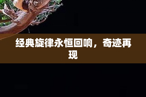 经典旋律永恒回响图片