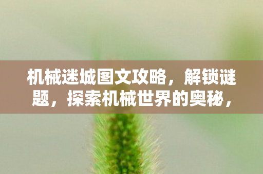 探索机械世界的奥秘图文攻略图片