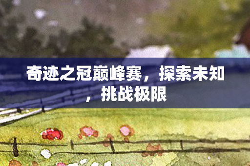 奇迹之冠巅峰赛图片