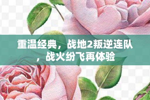重温经典，战地2叛逆连队，战火纷飞再体验