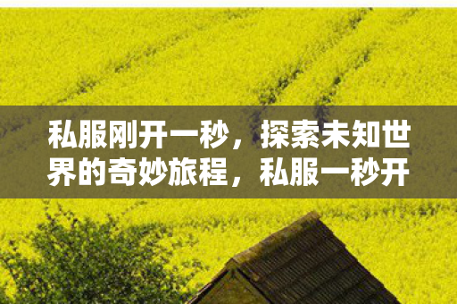 私服刚开一秒,探索未知世界的奇妙旅程,私服一秒开启,探索未知世界的奇妙旅程 私服刚开一秒,探索未知世界的奇妙旅程,私服一秒开启,探索未知世界的奇妙旅程