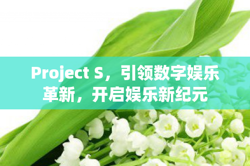 Project S，引领数字娱乐革新，开启娱乐新纪元