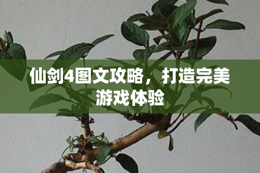 仙剑4图文攻略,打造完美游戏体验 仙剑4图文攻略,打造完美游戏体验
