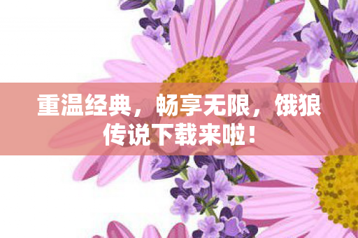 重温经典,畅享无限,饿狼传说下载来啦! 重温经典,畅享无限,饿狼传说下载来啦!