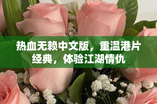 热血无赖中文版,重温港片经典,体验江湖情仇 热血无赖中文版,重温港片经典,体验江湖情仇