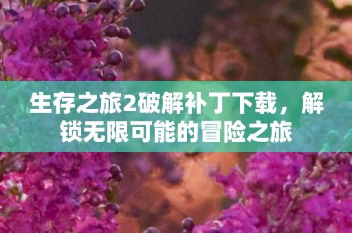 生存之旅2破解补丁下载，解锁无限可能的冒险之旅