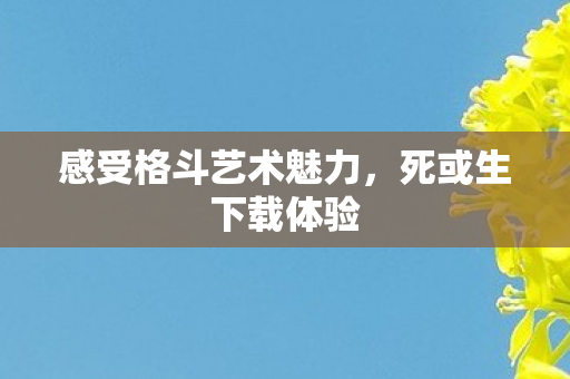 感受格斗艺术魅力，死或生下载体验