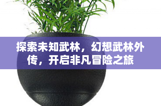 探索未知武林,幻想武林外传,开启非凡冒险之旅 探索未知武林,幻想武林外传,开启非凡冒险之旅