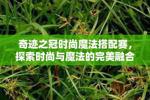 探索时尚与魔法的完美融合图片