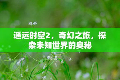 遥远时空2,奇幻之旅,探索未知世界的奥秘 遥远时空2,奇幻之旅,探索未知世界的奥秘
