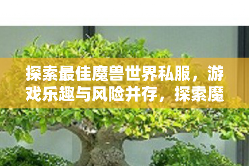 探索最佳魔兽世界私服图片
