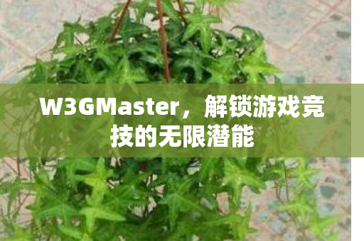 W3GMaster,解锁游戏竞技的无限潜能 W3GMaster,解锁游戏竞技的无限潜能