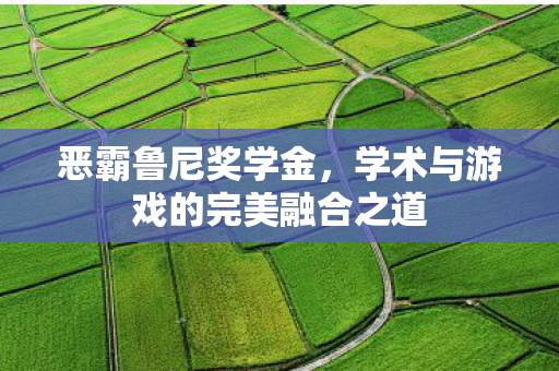 恶霸鲁尼奖学金,学术与游戏的完美融合之道 恶霸鲁尼奖学金,学术与游戏的完美融合之道