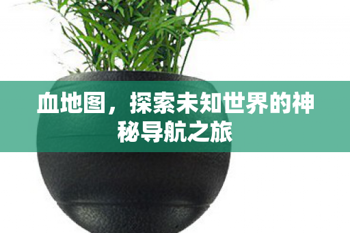 血地图，探索未知世界的神秘导航之旅