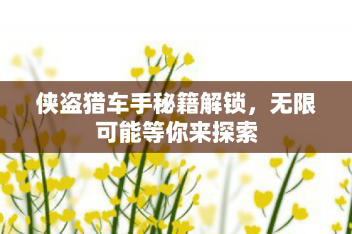 侠盗猎车手秘籍解锁图片
