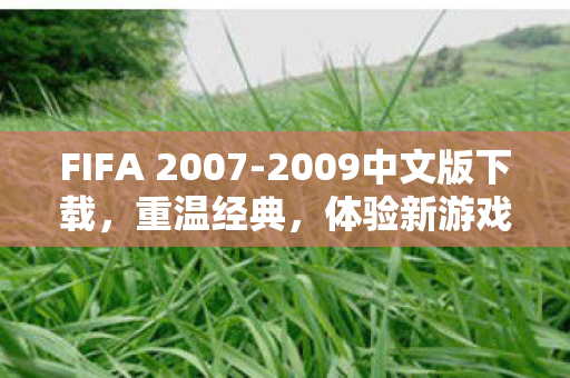 FIFA 2007-2009中文版下载,重温经典,体验新游戏 FIFA 2007-2009中文版下载,重温经典,体验新游戏