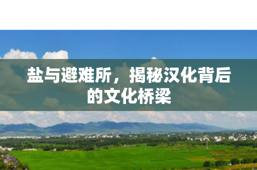 盐与避难所,揭秘汉化背后的文化桥梁 盐与避难所,揭秘汉化背后的文化桥梁