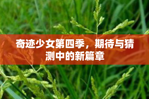 奇迹少女第四季，期待与猜测中的新篇章