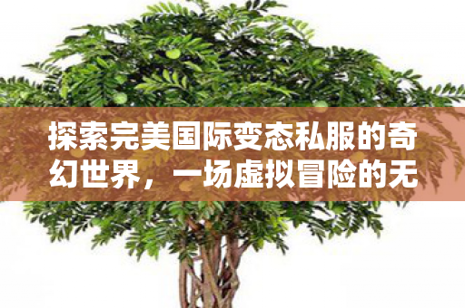 探索完美国际变态私服的奇幻世界图片
