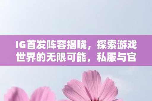 IG首发阵容揭晓,探索游戏世界的无限可能,私服与官方服务器的独特魅力 IG首发阵容揭晓,探索游戏世界的无限可能,私服与官方服务器的独特魅力