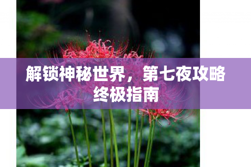 解锁神秘世界,第七夜攻略终极指南 解锁神秘世界,第七夜攻略终极指南