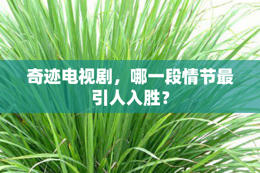 哪一段情节最引人入胜图片