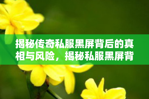 揭秘传奇私服黑屏背后的真相与风险图片