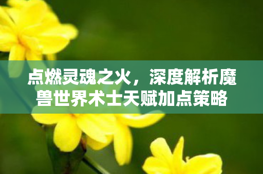 点燃灵魂之火,深度解析魔兽世界术士天赋加点策略 点燃灵魂之火,深度解析魔兽世界术士天赋加点策略