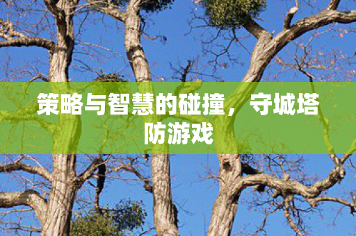 策略与智慧的碰撞，守城塔防游戏