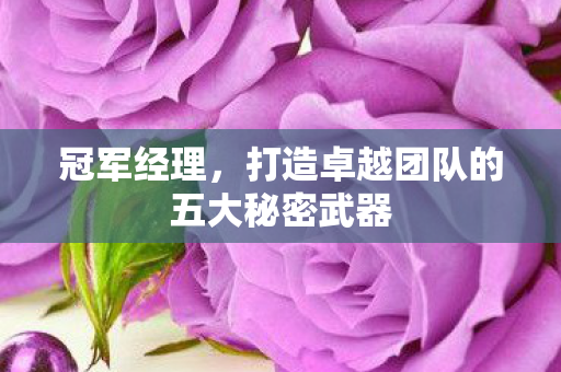 冠军经理,打造卓越团队的五大秘密武器 冠军经理,打造卓越团队的五大秘密武器