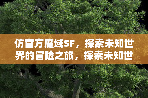 探索未知世界的冒险之旅图片