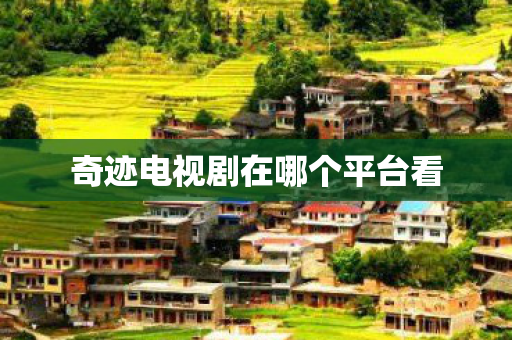 奇迹电视剧在哪个平台看图片